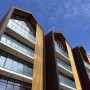 Light Walnut (18)