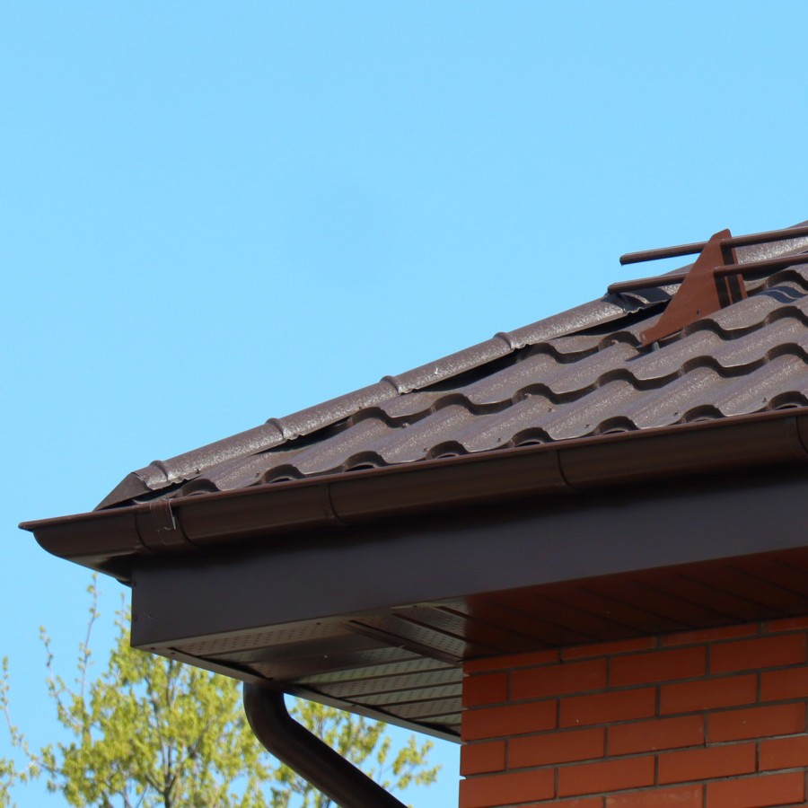 IMG_2202_1